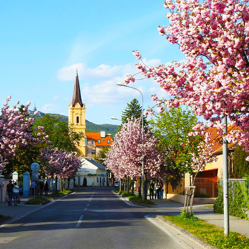 Slovakia eSIM destination image