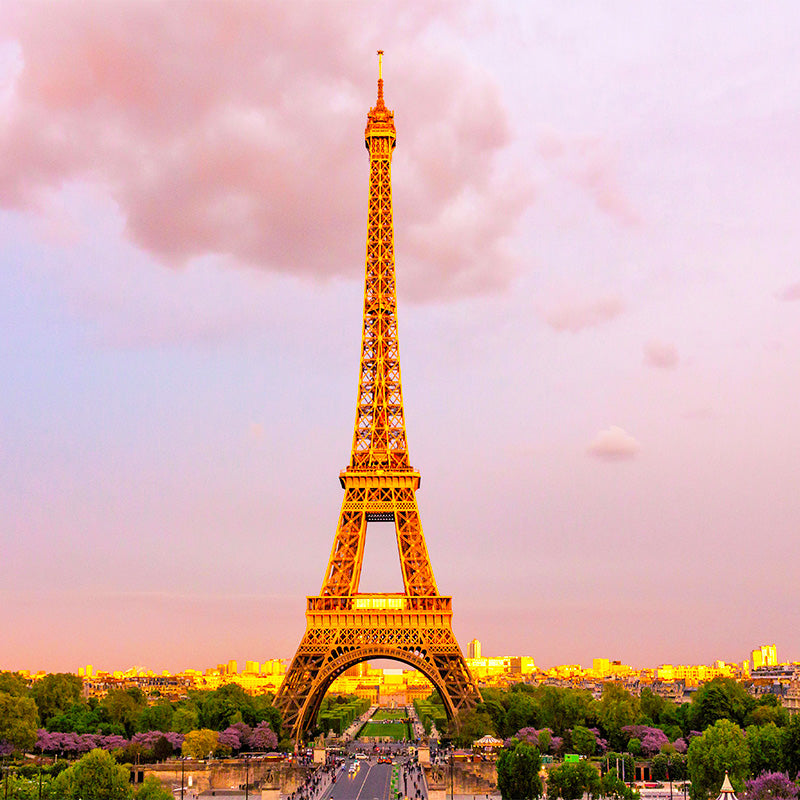 France eSIM destination image