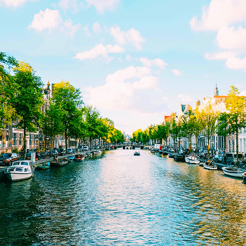 Netherlands eSIM destination image