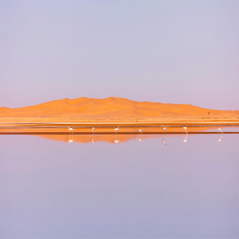 Algeria eSIM destination image