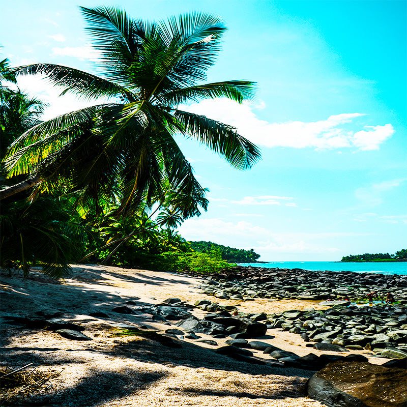 Guyana eSIM destination image