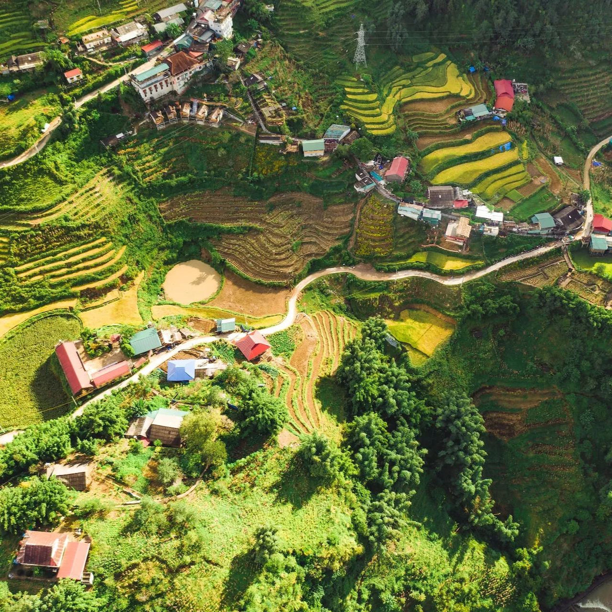 Laos eSIM travel eSIM