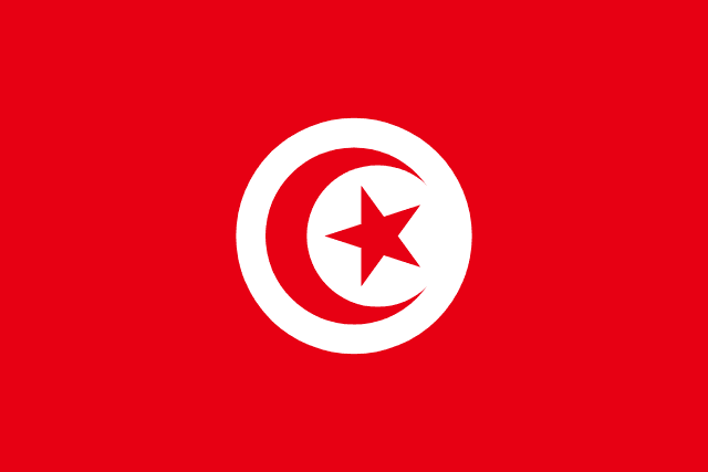 Tunisia representative flag image